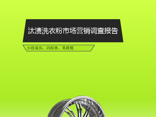 汰渍洗衣粉市场营销调查报告