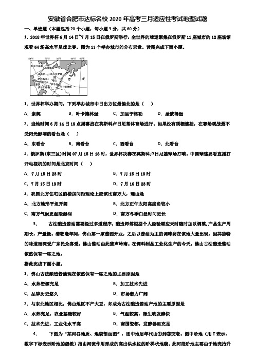 安徽省合肥市达标名校2020年高考三月适应性考试地理试题含解析