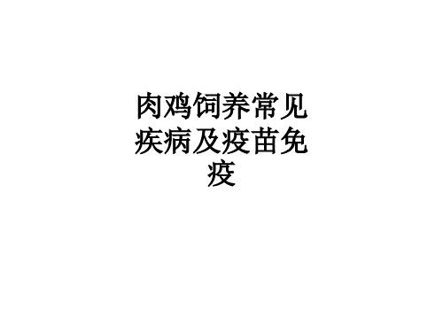 肉鸡饲养常见疾病及疫苗免疫