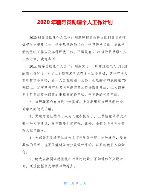 2020年辅导员助理个人工作计划