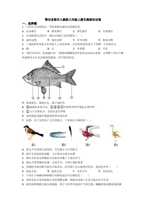 鄂尔多斯市人教版八年级上册生物期末试卷