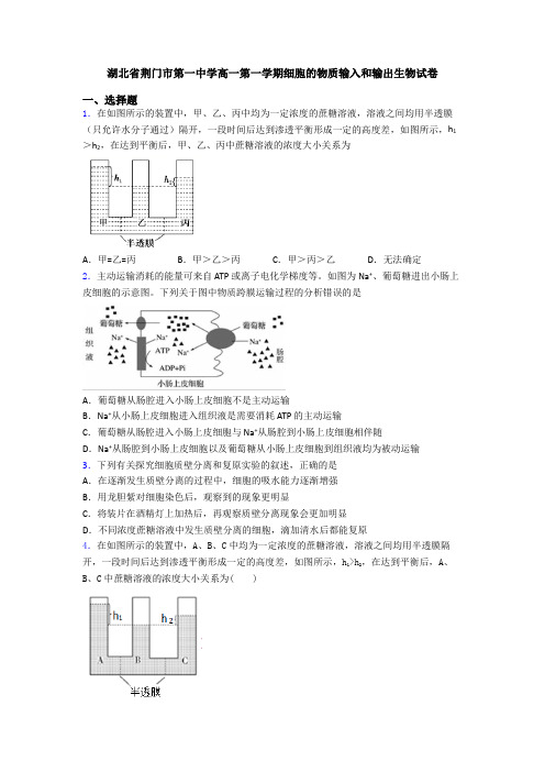 湖北省荆门市第一中学高一第一学期细胞的物质输入和输出生物试卷