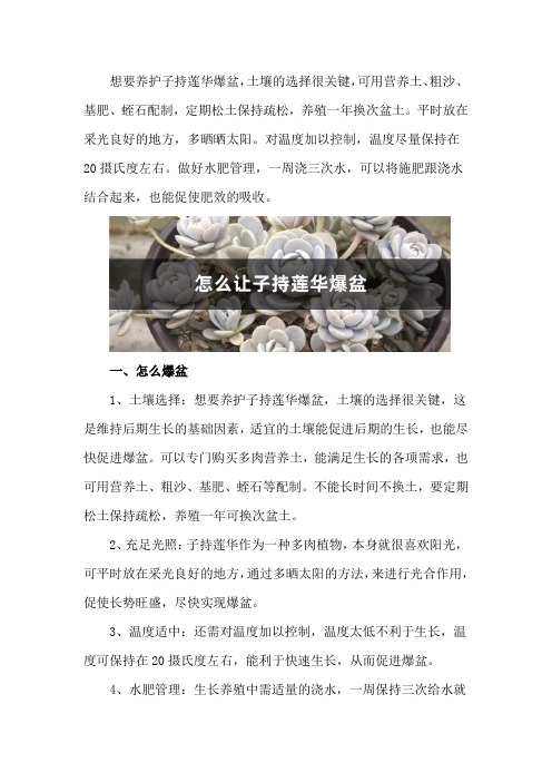 怎么让子持莲华爆盆,怎么繁殖