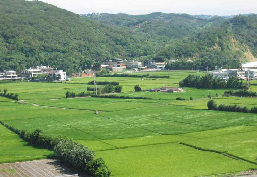 人教新课标高中英语必修四-Unit2 Working the land 课件 课件(共15张)