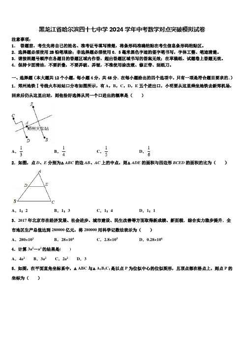 黑龙江省哈尔滨四十七中学2024届中考数学对点突破模拟试卷含解析