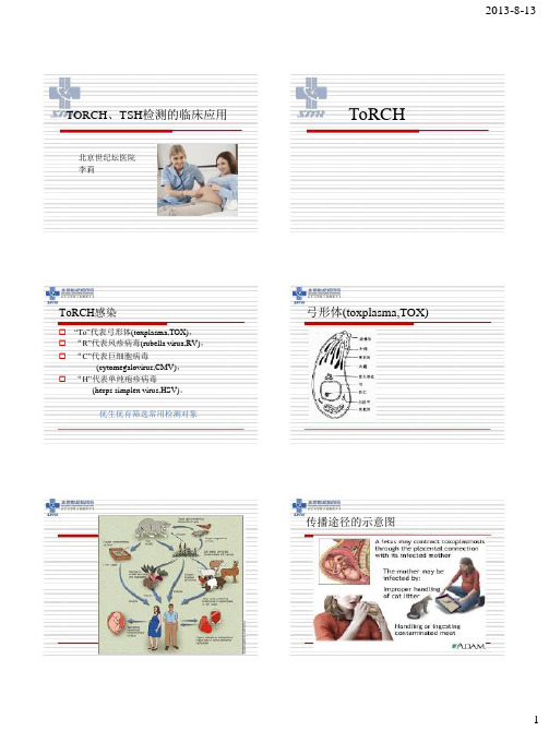 TORCH和TSH检测的临床应用(1)