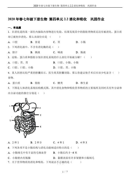2020年春七年级下册生物 第四单元2.2消化和吸收 巩固作业