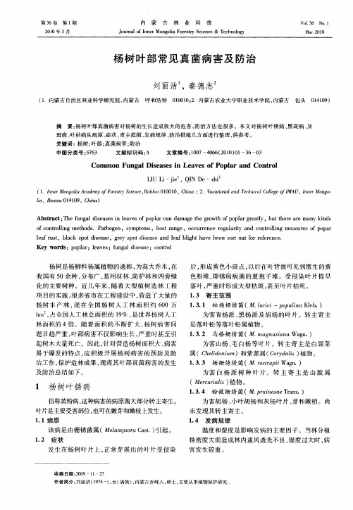 杨树叶部常见真菌病害及防治