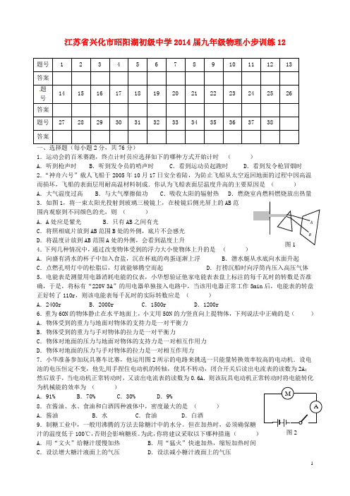 江苏省兴化市昭阳湖初级中学九年级物理小步训练12(无