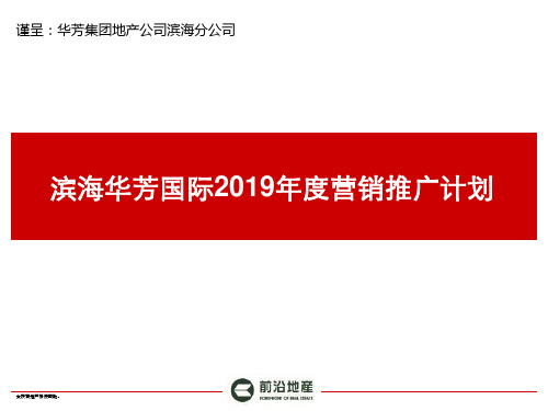 2019年度滨海华芳国际营销推广计划-PPT课件