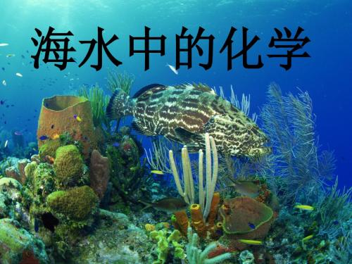 海水中的化学PPT课件 鲁教版