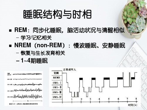 中国成人失眠指南解读