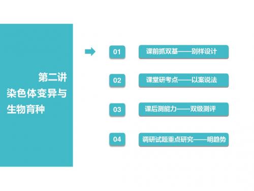 2019版高考生物一轮复习第二部分遗传与进化第三单元生物变异、育种和进化第二讲染色体变异与生物育种课件