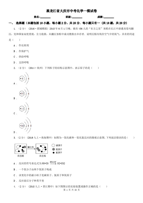 黑龙江省大庆市中考化学一模试卷