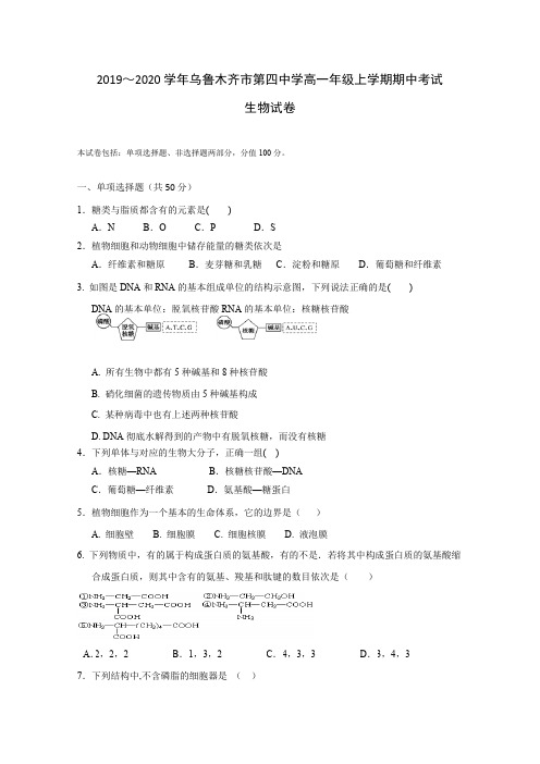 新疆乌鲁木齐四中2019-2020学年高一上学期期中考试生物试题 Word版含答案