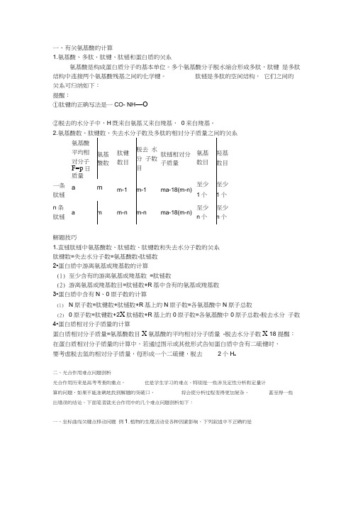 有关氨基酸的计算