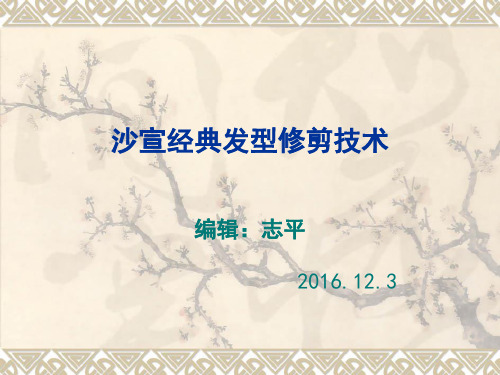 沙宣经典发型修剪技术16.12.3概论