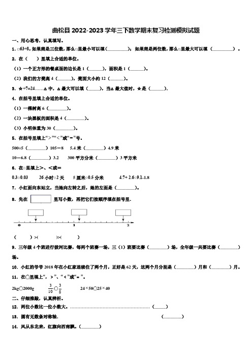 曲松县2022-2023学年三下数学期末复习检测模拟试题含解析