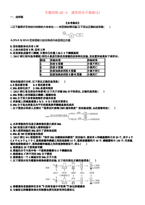 2018届高考生物专题训练10遗传的分子基础1