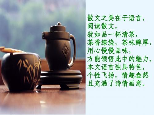 夏天的旋律[1]