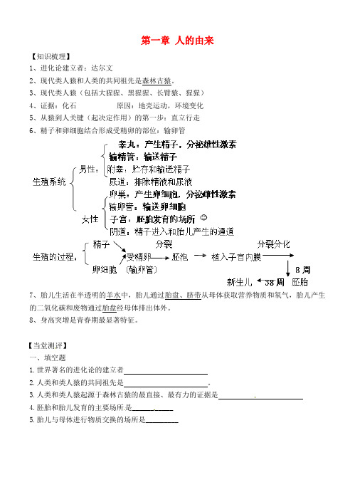 内蒙古鄂尔多斯东胜区正东中学七年级生物下册 第一章 人的由来复习学案(无答案) 新人教版