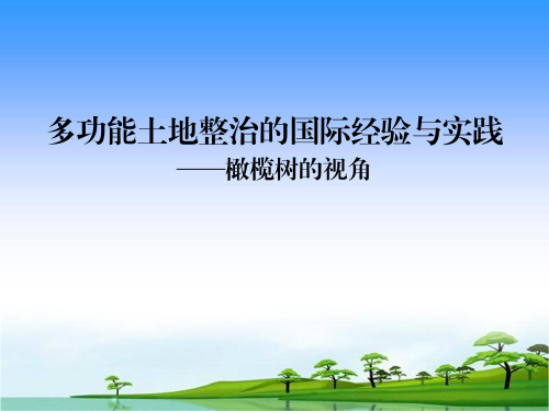 多功能土地整治的国际经验与实践