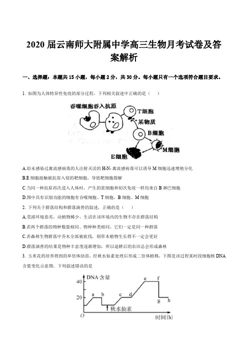 2020届云南师大附属中学高三生物月考试卷及答案解析