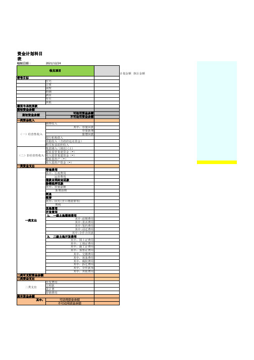 资金执行表资金计划科目表模板