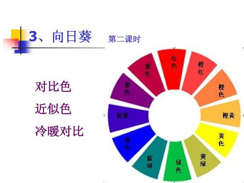 向日葵 第二课时