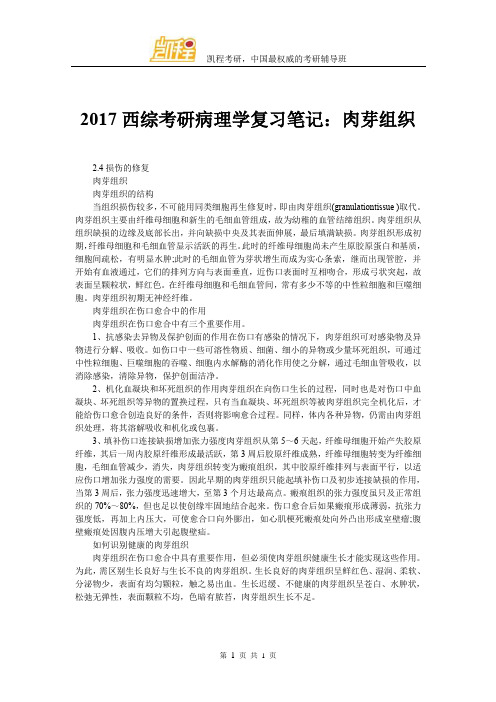 2017西综考研病理学复习笔记：肉芽组织