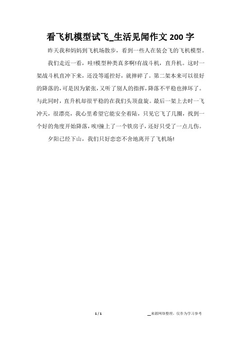 看飞机模型试飞_生活见闻作文200字