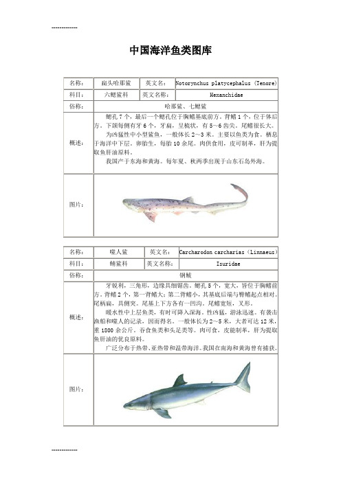 [整理]中国海洋鱼类图库.