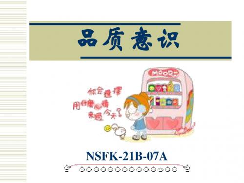 品质意识NSFK-21B-07B(修正)