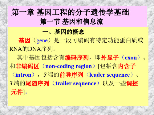 第一章 基因工程的分子遗传学原理