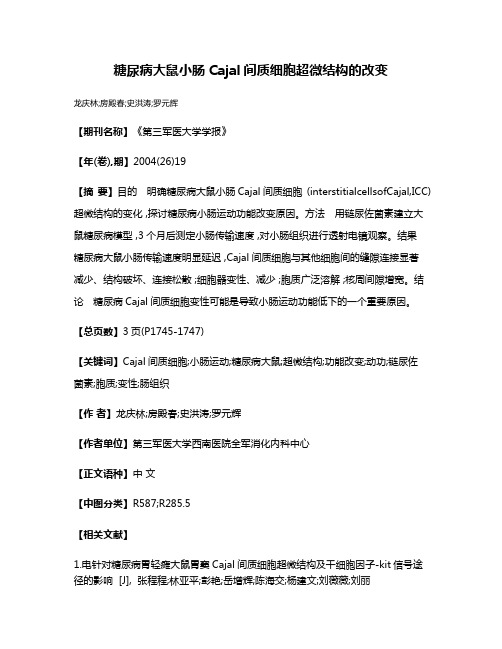 糖尿病大鼠小肠Cajal间质细胞超微结构的改变