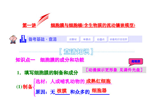 2015届《三维设计》高考生物一轮精品课件：1.2.1细胞膜与细胞核(含生物膜的流动镶嵌模型)