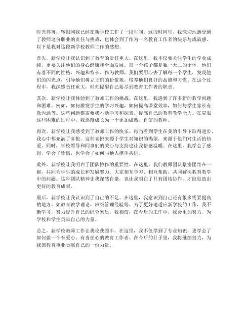 新学校教师工作感想