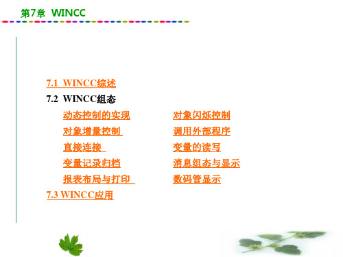 第7章-WINCCPPT优秀课件