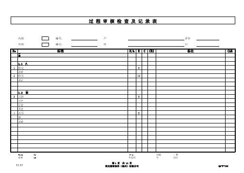 过程审核检查及记录表