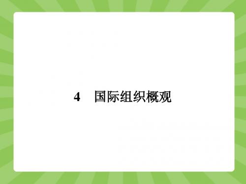 【优化设计】(人教)高中政治选修3精品课件专题一1.4 国际组织概观