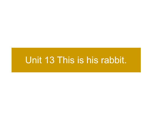 A U13【This is his rabbit】