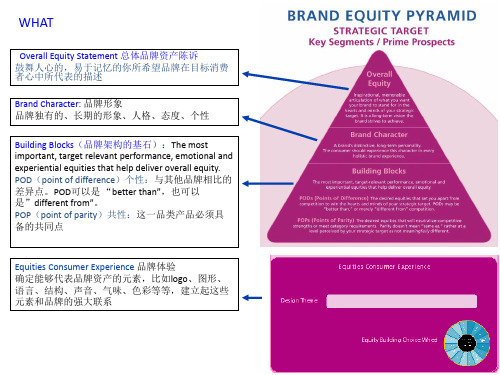 宝洁品牌资产体系金字塔模式