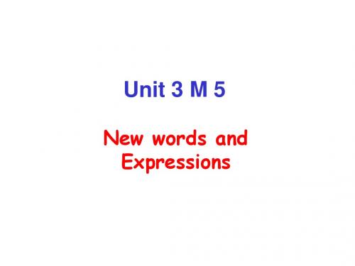 高中英语m5教学课件-m 5 unit3 words