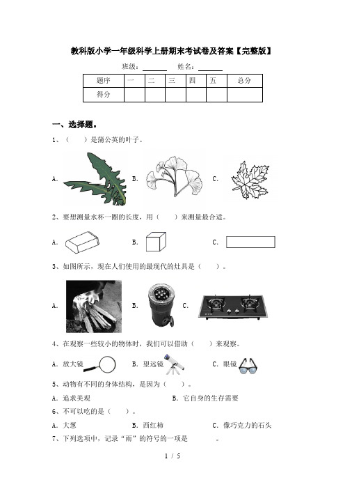 教科版小学一年级科学上册期末考试卷及答案【完整版】