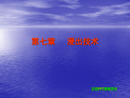 浸出技术
