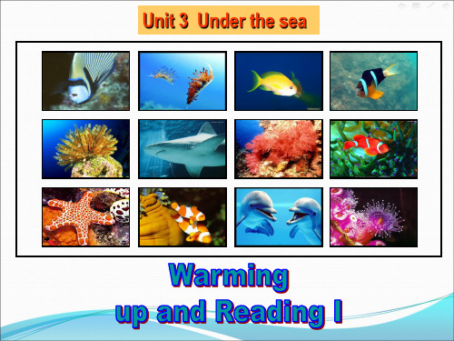 选修七 unit 3 warming up &Reading