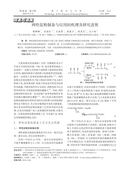 两性淀粉制备与应用的机理及研究进展