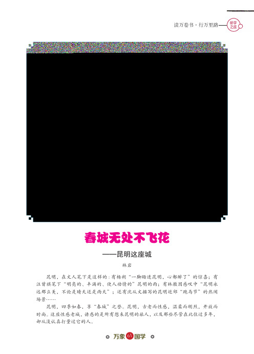 春城无处不飞花——昆明这座城