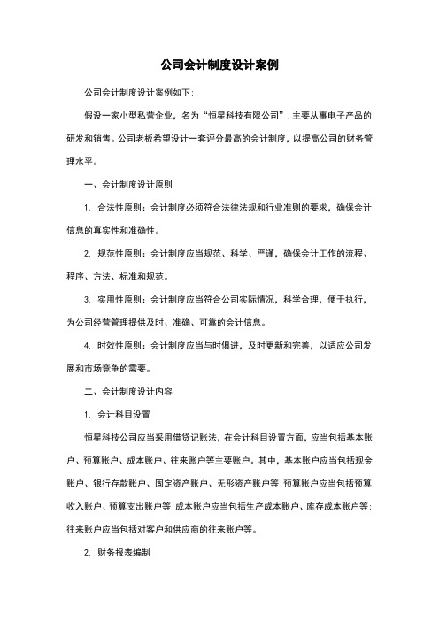 公司会计制度设计案例