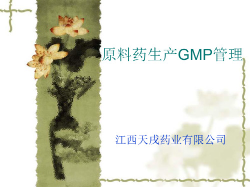 原料药生产GMP管理